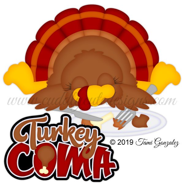 Turkey Coma