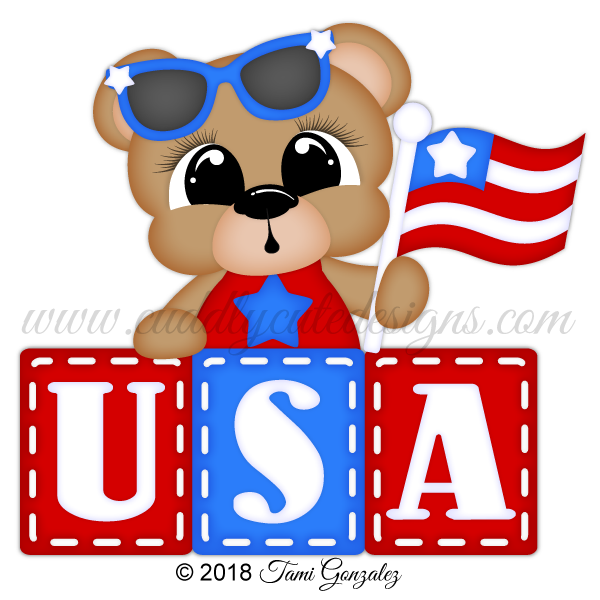 USA Bear - Boy